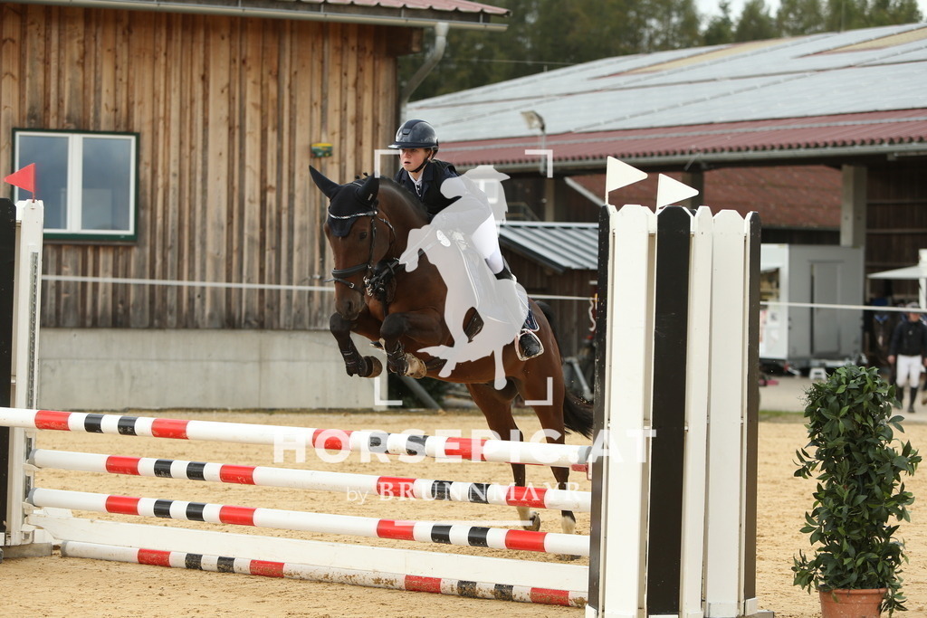 DL2Q4162 | Willkommen bei Brunnmayr - Design & Fotografie – Ihrem Spezialisten für Reitturniere und Pferdeveranstaltungen in Oberösterreich, Salzburg und Bayern! Seit über 17 Jahren sind wir leidenschaftlich dabei.