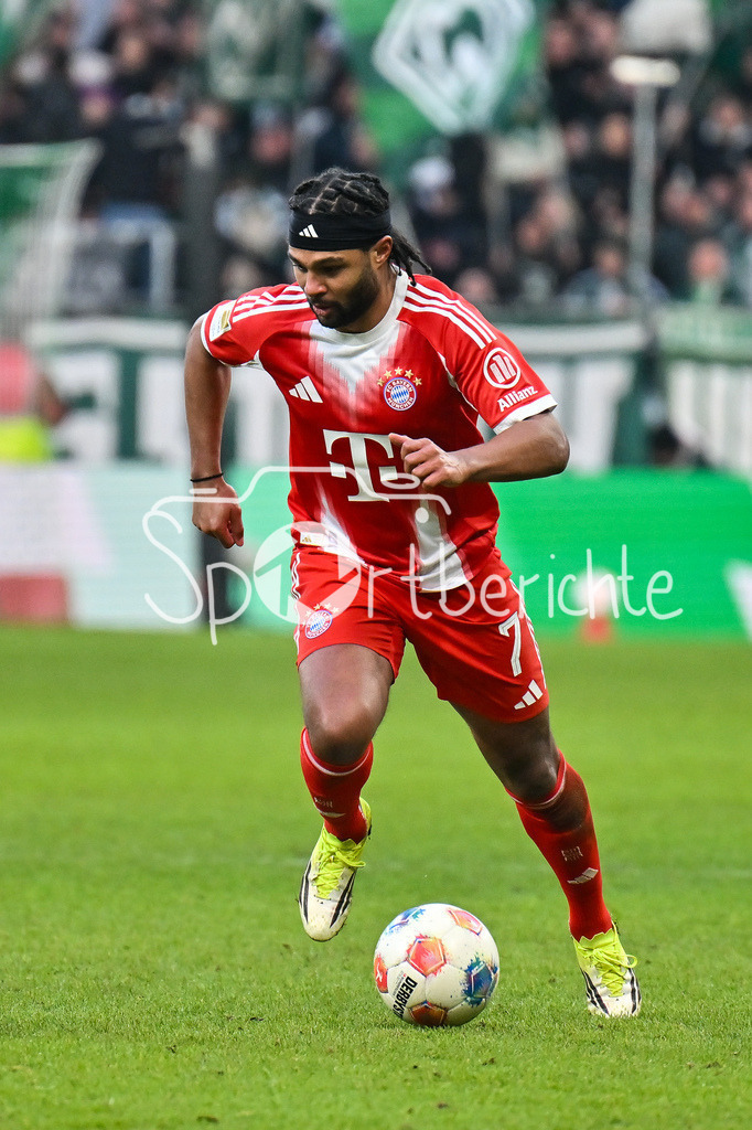 SV Werder Bremen - FC Bayern München | BREMEN, GERMANY - 14. FEBRUARY: am Ball Serge GNABRY (FC Bayern Munich 7) / Einzelfoto / Freisteller während dem Bundesligamatch zwischen dem SV Werder Bremen und dem FC Bayern München am 22. Spieltag im Weserstadion / DFL REGULATIONS PROHIBIT ANY USE OF PHOTOGRAPHS AS IMAGE SEQUENCES AND/OR QUASI-VIDEO