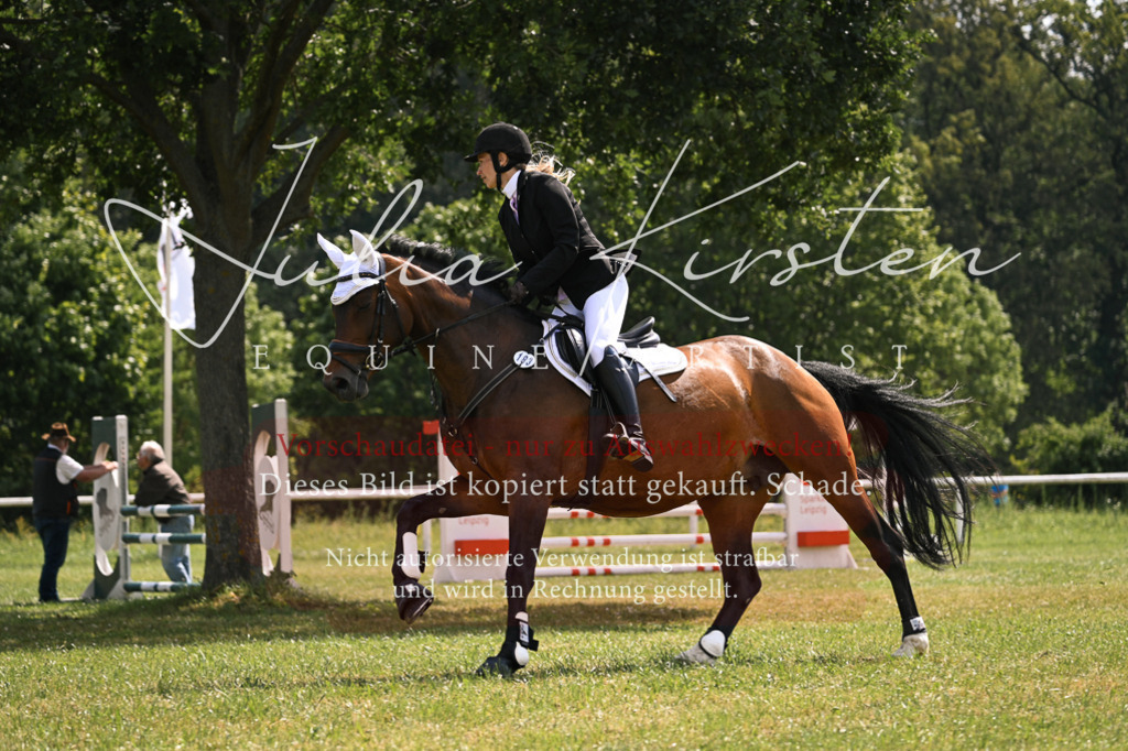 DSC_9015 | Pferde- und Turnierfotografie in Westsachsen. Pferdeportraits, Auftragszeichnungen und intuitive Kunst.