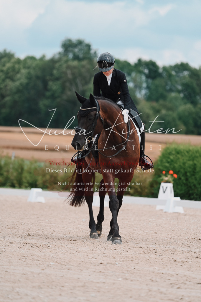 DSC_4195 | Pferde- und Turnierfotografie in Westsachsen. Pferdeportraits, Auftragszeichnungen und intuitive Kunst.