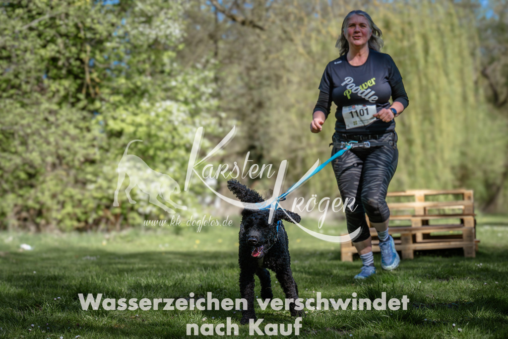 1034_ZZ95655 | kk-dogfotos
