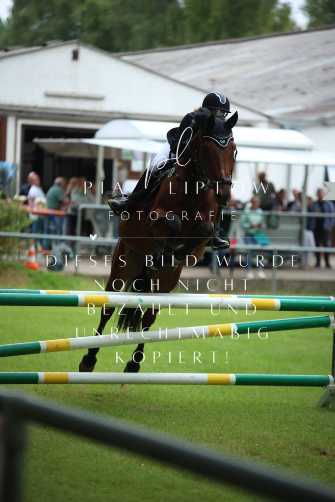 IMGM3769 | pl-fotografie