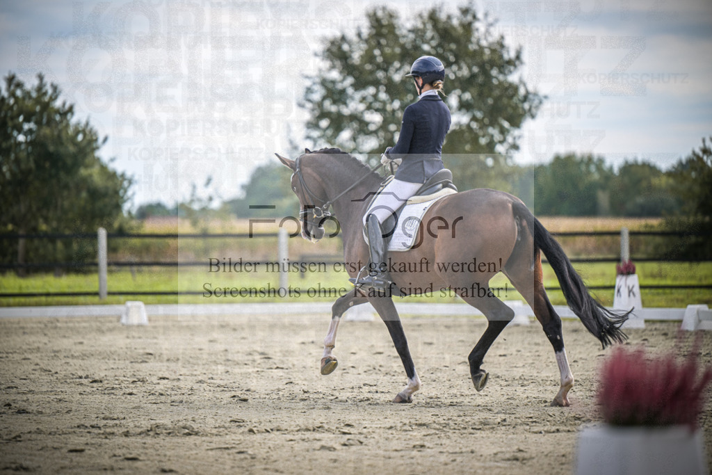 DOS_2157 | Entdecke hochwertige Reitturnierfotos von Foto Oger. Professionell, emotional und authentisch – jetzt Lieblingsmomente im Shop bestellen.Deutschlandweite Turnierfotografie. - Realisiert mit Pictrs.com