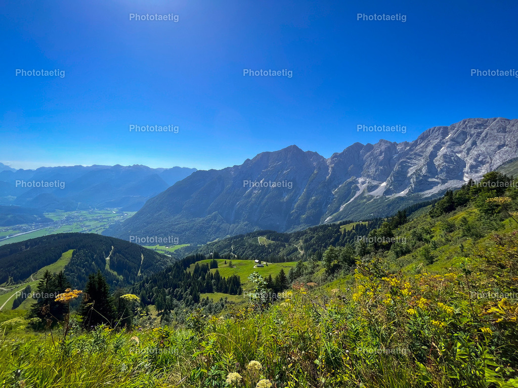 IMG_1957 | phototaetig