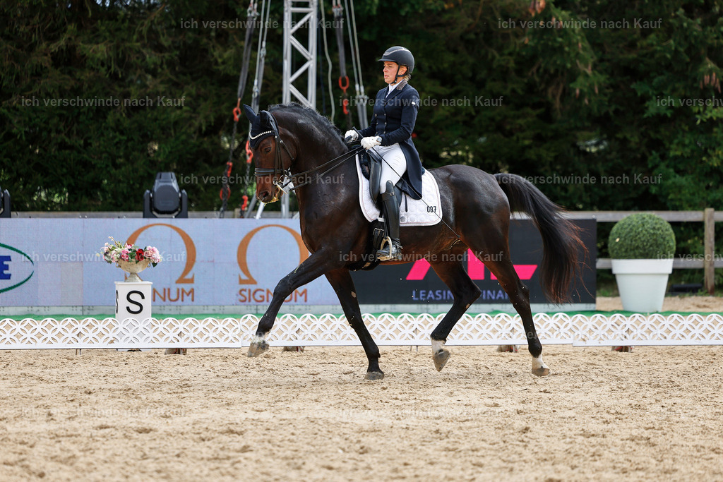 11-007-Dressur S___-StoibPH-1106 | working equitationturnier fotograf videograf stoibphotography marixx film working equitation deutschland reitsport turnierfotografie eventfotografie equestrian events