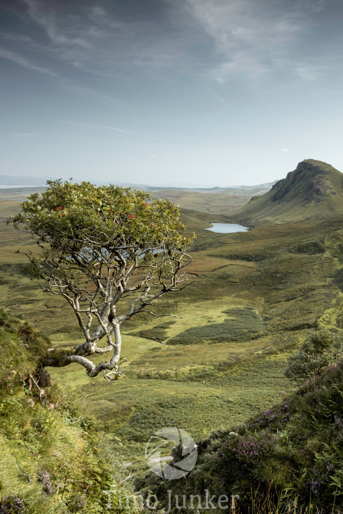 Shop_Landscapes-2064 | junker-foto - Realisiert mit Pictrs.com