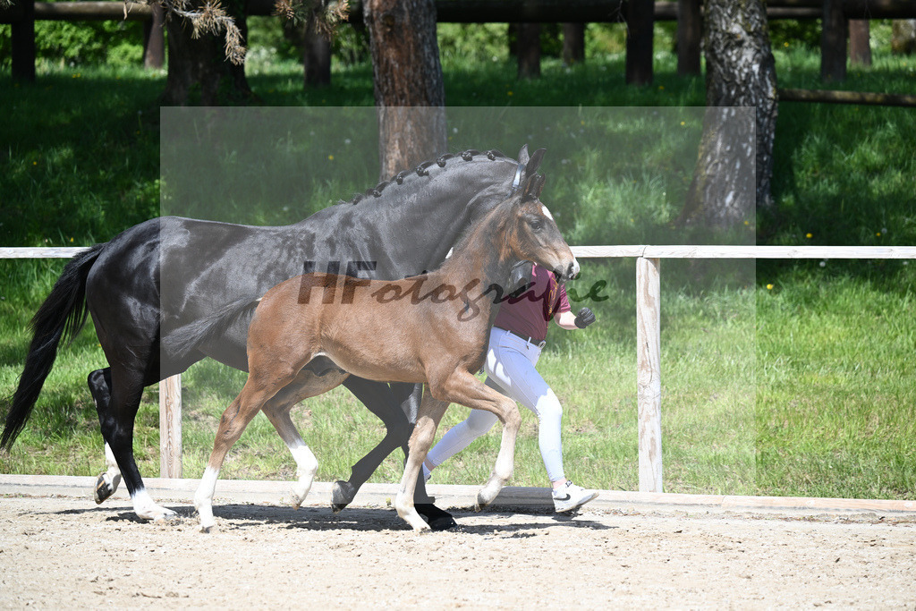 Escaneno x Negro_HF_Eder_11240516 | hf-fotografie - Realisiert mit Pictrs.com