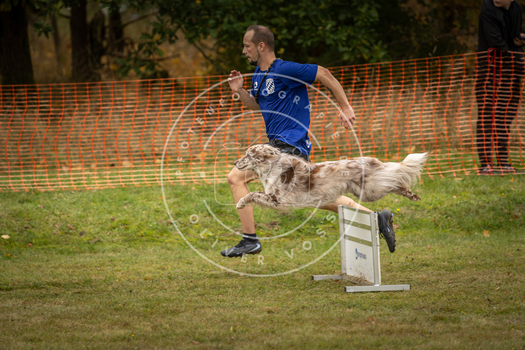 Pfotenfotografie_DV3A5900 | Hundefotografie, Tierfotograf, Pfotenfotografie, Fotoshooting Hund, Hunde Portrait, Hundesport, Hundeportraits, Heideshooting, Hunde, Sportfotograf, Hundefotograf, Turnierhundsport, THS,  - Realisiert mit Pictrs.com