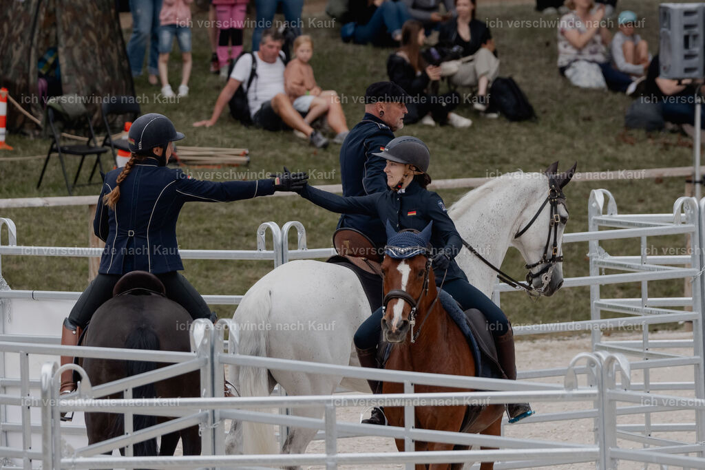 WE__Stoib_Rinder_PI2025_2995 | Pferd International München 2025