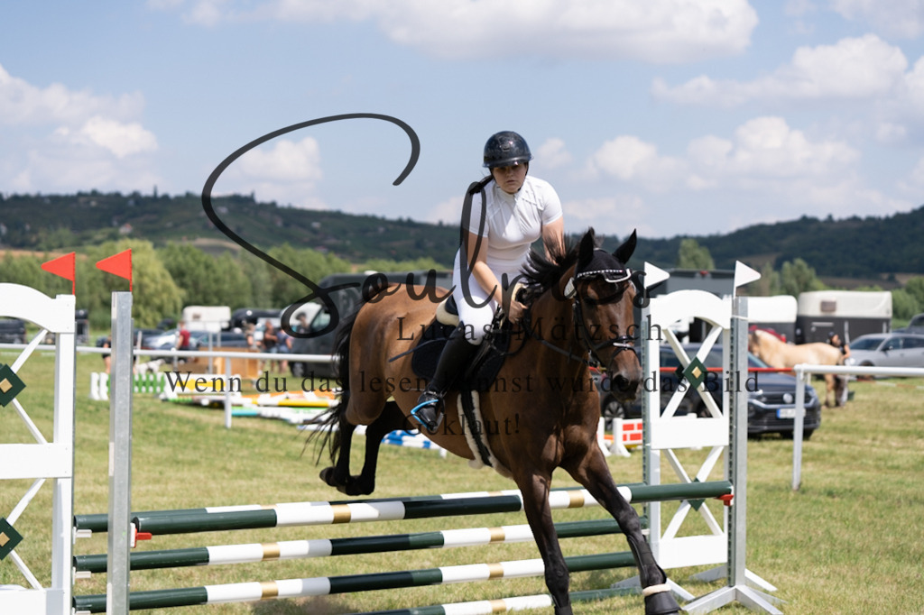 A7V00189 | Pferdefotograf