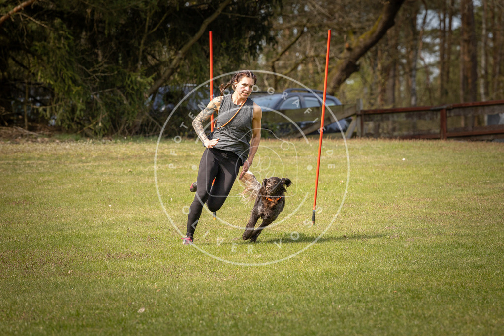 Pfotenfotografie_DV3A7178 | Hundefotografie, Tierfotograf, Pfotenfotografie, Fotoshooting Hund, Hunde Portrait, Hundesport, Hundeportraits, Heideshooting, Hunde, Sportfotograf, Hundefotograf, Turnierhundsport, THS,  - Realisiert mit Pictrs.com