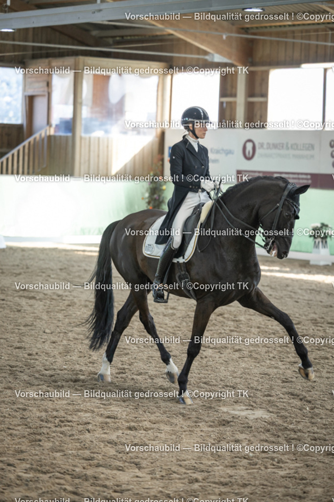 _D5A0290 | Emotionale Pferde- & People-Fotografie rund um Heidelberg, Leimen & Umgebung. Natürliche Fotos von Pferd, Mensch & Familie. Jetzt Termin sichern!