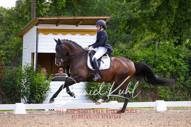 DKP41372 | Turnierfotos kaufen im Webshop von Daniel Kuhl Photography – entdecke professionelle Reitsportfotos aus Turnieren & Events. Hochwertige Turnierbilder online bestellen & sichern. Jetzt Fotos von Reitsportturnieren kaufen!