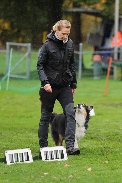 2025_Rally_Obedience_SM-114 | Ich fotografiere Hundeausstellungen, Sportanlässe, Zuchtstätten, Hundezucht, Hundeportrait, Lagotto - Realisiert mit Pictrs.com