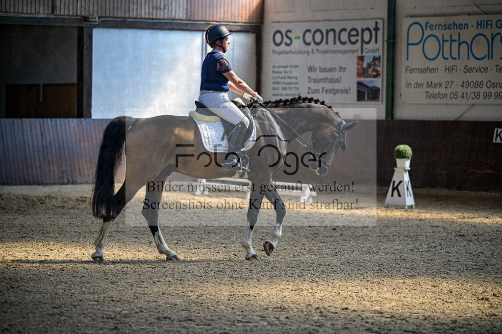 Reitturnier Voxtrup | Entdecke hochwertige Reitturnierfotos von Foto Oger. Professionell, emotional und authentisch – jetzt Lieblingsmomente im Shop bestellen.Deutschlandweite Turnierfotografie. - Realisiert mit Pictrs.com