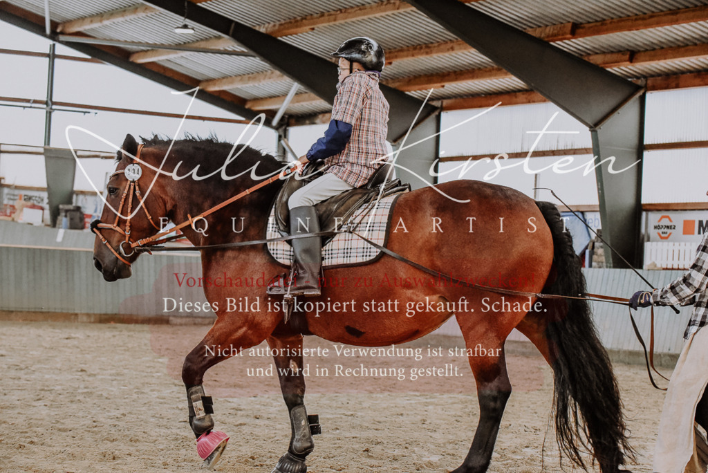 DSC_7123 | Pferde- und Turnierfotografie in Westsachsen. Pferdeportraits, Auftragszeichnungen und intuitive Kunst.