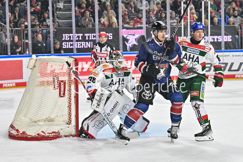 Kölner Haie - Augsburger Panther | Die Panther um Strauss MANN (Augsburger Panther #38) und Mark ZENGERLE (Augsburger Panther #89) halten ihren Kasten noch sauber / DEL: Koelner Haie - Augsburger Panther, Lanxess Arena am 05.01.2025