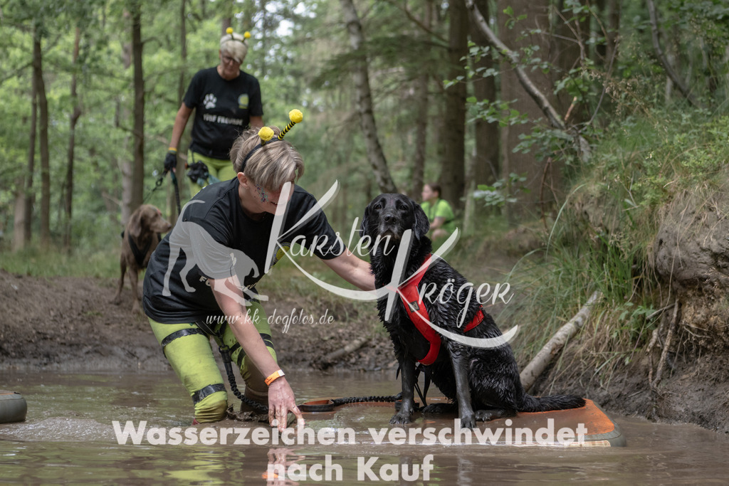 1337_ZZ95010 | kk-dogfotos