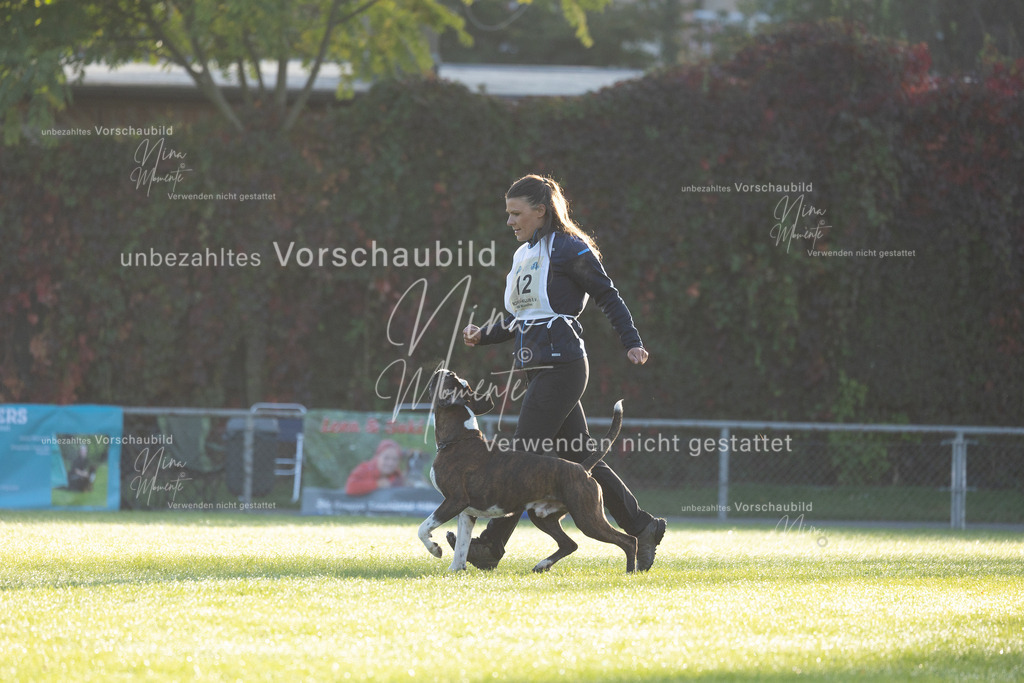 _16A6062 | Einzigartige Fotos von Hunden & Menschen –Actionfotos, Portraits, Vereinsaufnahmen & Paarshootings – authentisch, lebendig & mit Herz.