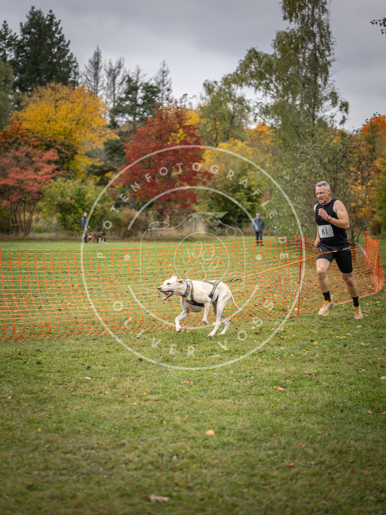 Pfotenfotografie_DV3A3055 | Hundefotografie, Tierfotograf, Pfotenfotografie, Fotoshooting Hund, Hunde Portrait, Hundesport, Hundeportraits, Heideshooting, Hunde, Sportfotograf, Hundefotograf, Turnierhundsport, THS,  - Realisiert mit Pictrs.com