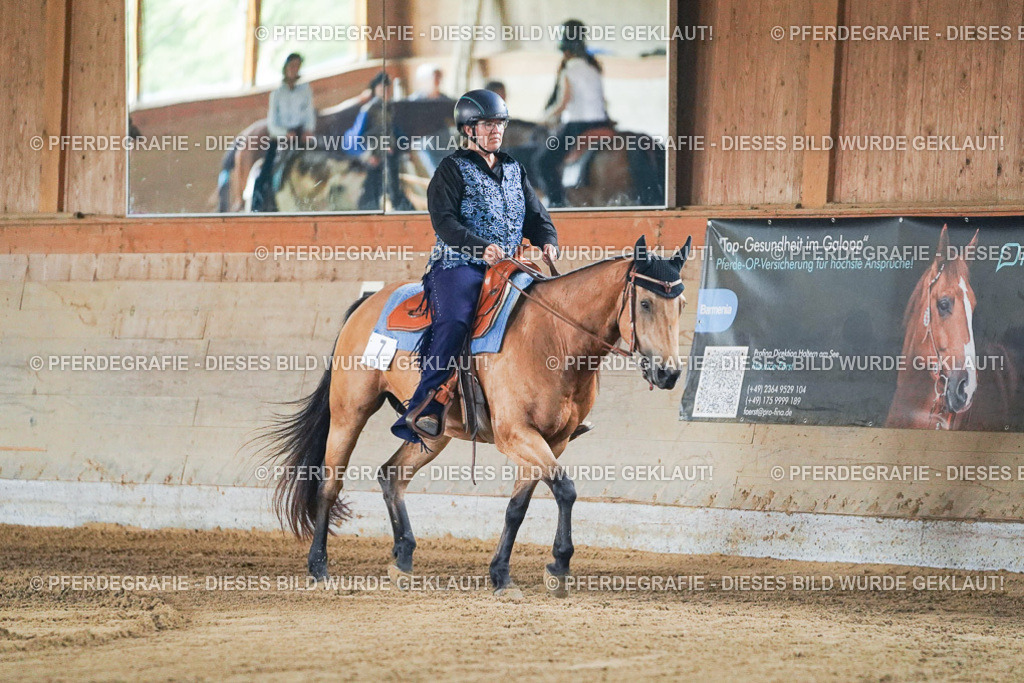 DSC05139 | Pferdegrafie