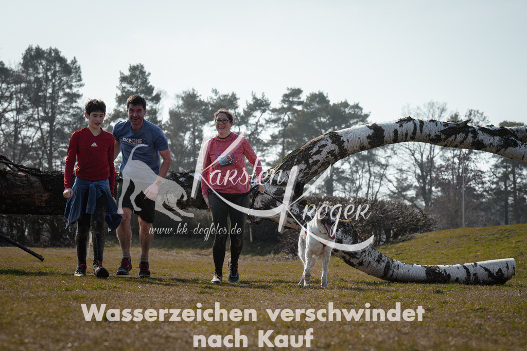 1137_ZZ95446 | kk-dogfotos