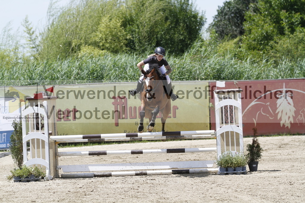 _MG_5339 | equestrian-live-com