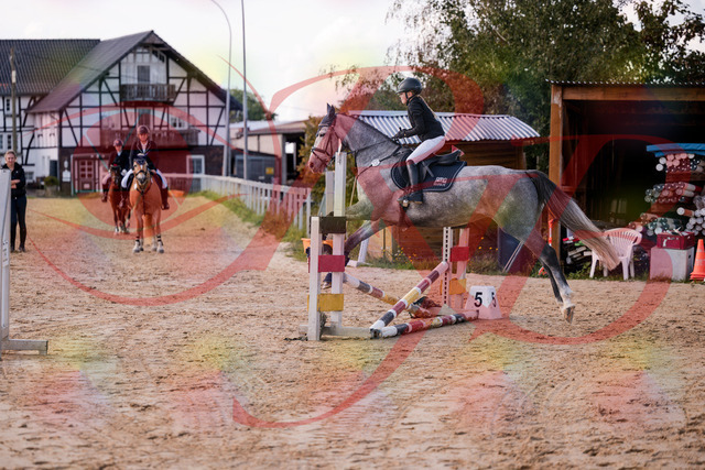 2026_10_03_Siefer-Hof_145129_Z81_30395116 | Professionelle Reitsport-, Turnier- und Eventfotografie von Robert Broda. Galerien mit ausgewählten und bearbeiteten Bildern direkt online ansehen und bestellen.