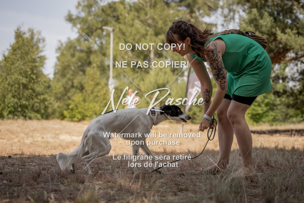nelerasche_soDD2_415 | nelerasche