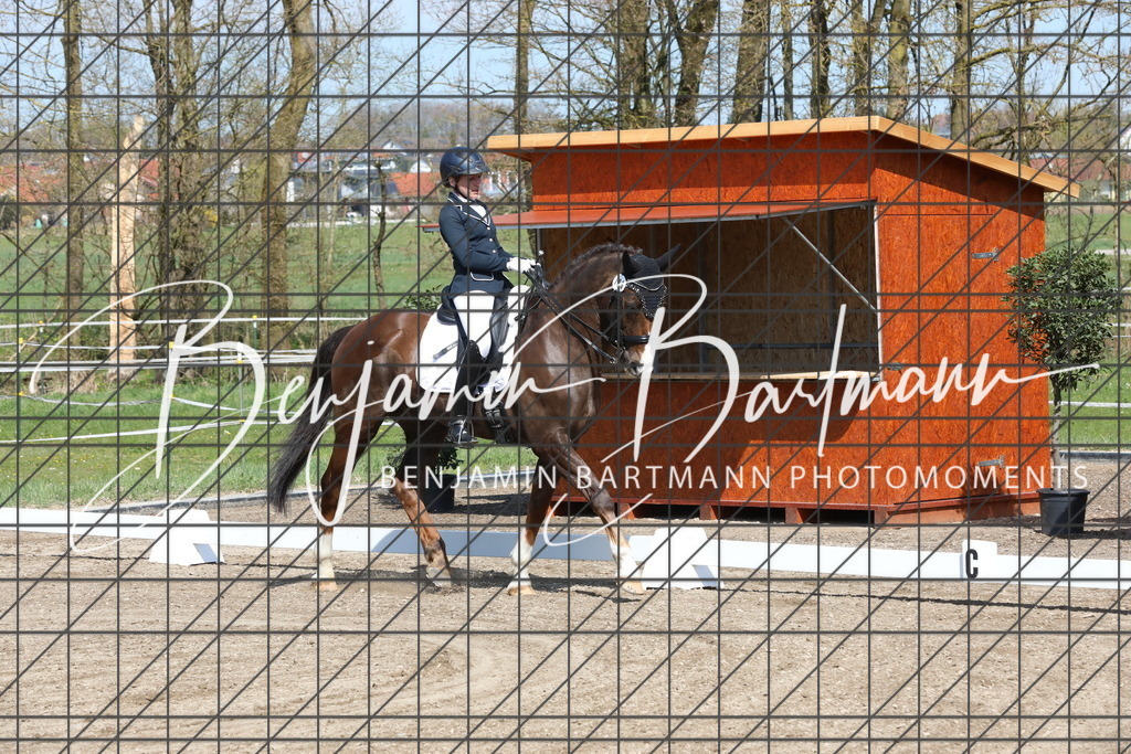 AZ2A5593 | Benjamin Bartmann Photomoments