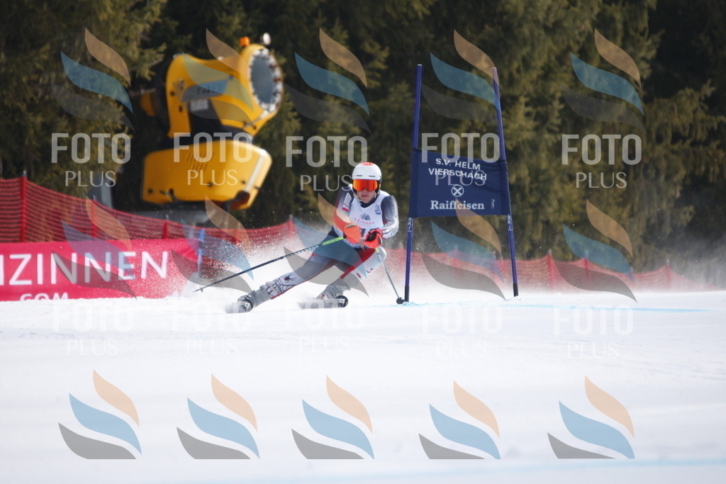 D8305 | holidayphoto