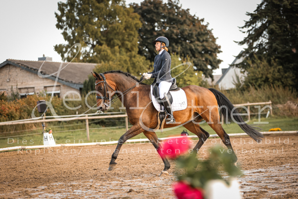 17.SoDrM00355 | Leoni Ertmer Photography - Realisiert mit Pictrs.com