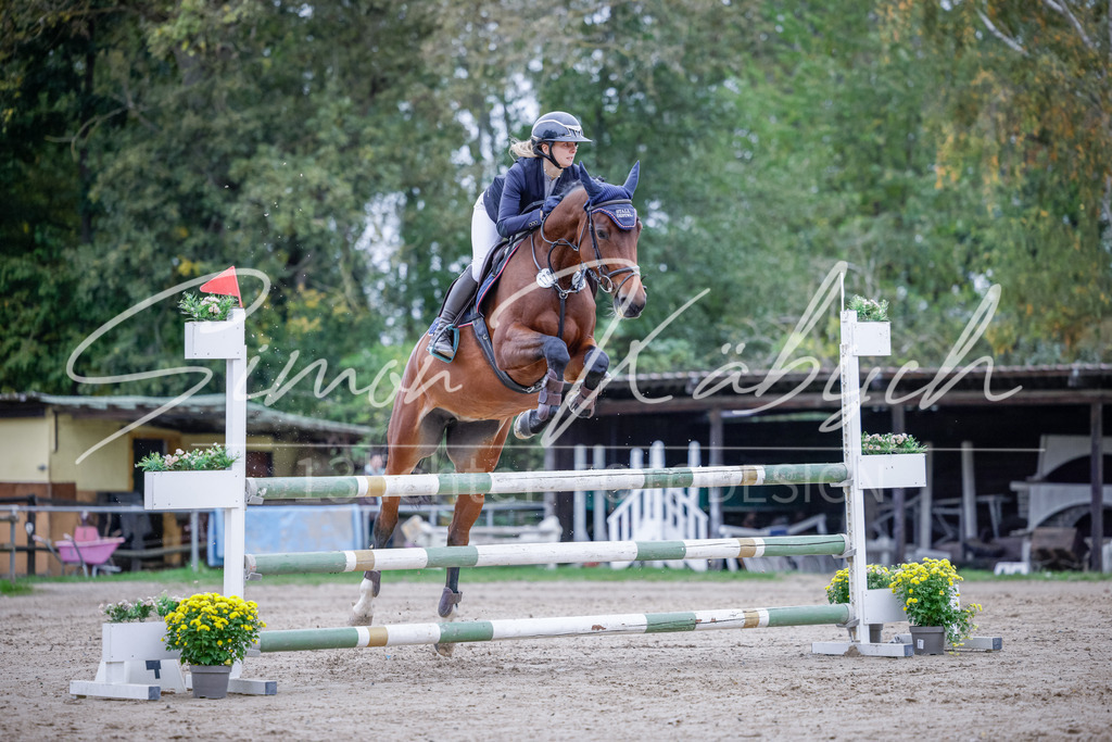 20251012-_3LI4944 | Tierfotografie Pferde, Hunde, Katzen, Haustiere.
Turnierfotografie Reitturniere, Reiten, Springreiten, Dressur in Hanau, dem Main-Kinzig-Kreis und dem Rhein-Main- Gebiet um Frankfurt