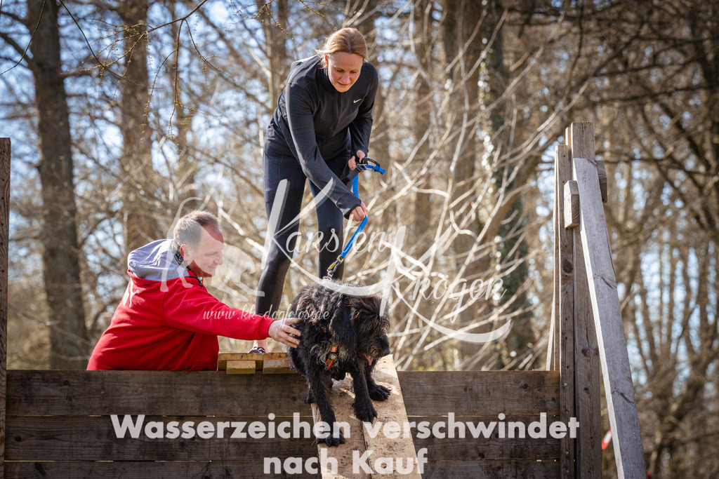 0913_ZZ94192-2 | kk-dogfotos