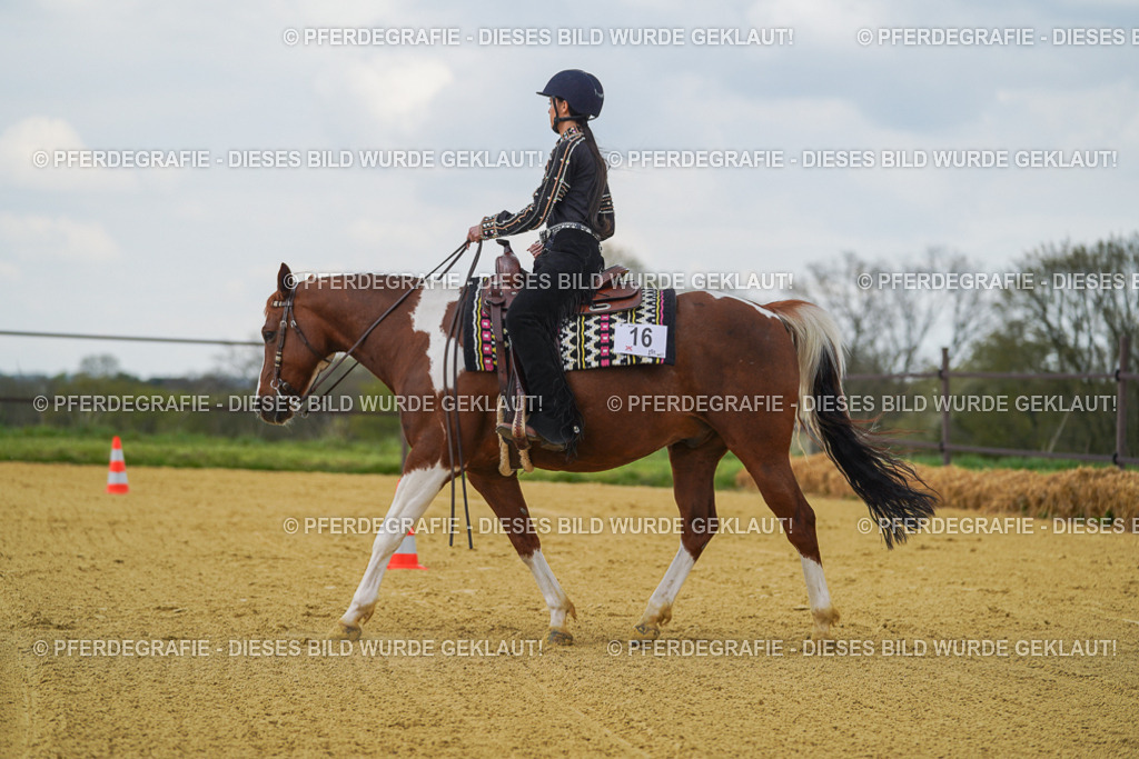 DSC06276 | Pferdegrafie