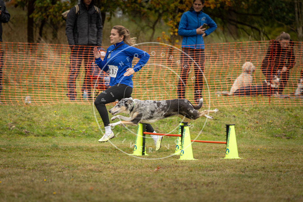 Pfotenfotografie_DV3A4282 | Hundefotografie, Tierfotograf, Pfotenfotografie, Fotoshooting Hund, Hunde Portrait, Hundesport, Hundeportraits, Heideshooting, Hunde, Sportfotograf, Hundefotograf, Turnierhundsport, THS,  - Realisiert mit Pictrs.com