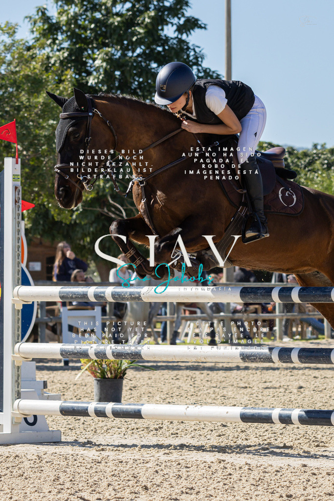 IMG_0502 | s-jay-photography - Realisiert mit Pictrs.com