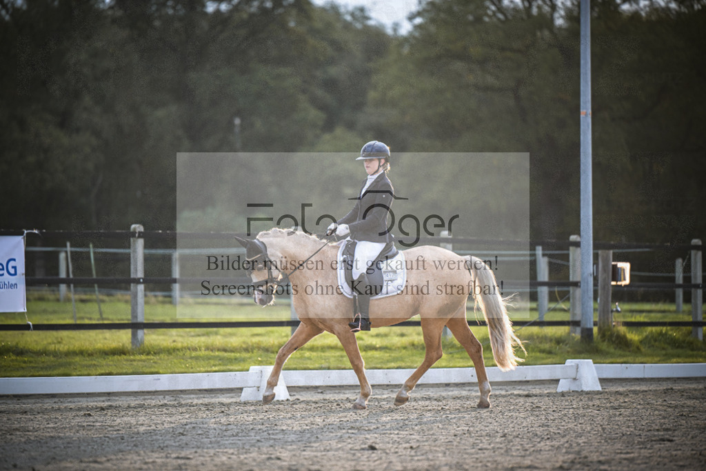 DOS_0837 | Entdecke hochwertige Reitturnierfotos von Foto Oger. Professionell, emotional und authentisch – jetzt Lieblingsmomente im Shop bestellen.Deutschlandweite Turnierfotografie. - Realisiert mit Pictrs.com