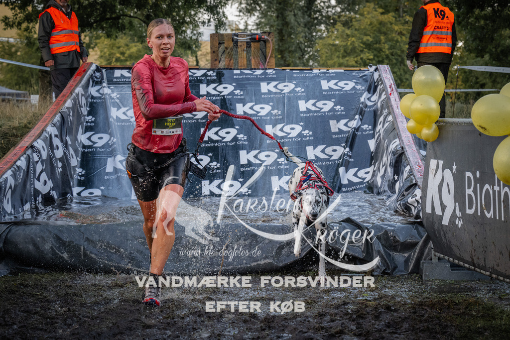 1514_ZZ94307 | kk-dogfotos