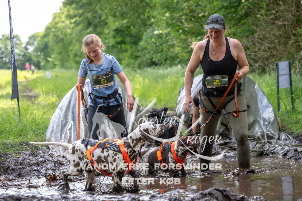 1228_ZZ92482 | kk-dogfotos