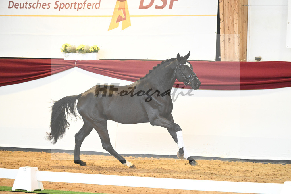 Kat-Nr. 30 v. Fantastic_Wilbers_66220430 | hf-fotografie - Realisiert mit Pictrs.com