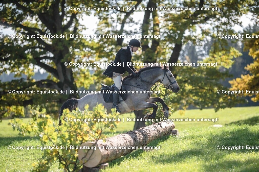 20251011_Jagd-Marbach_0416 | Foto: Thomas Hartig