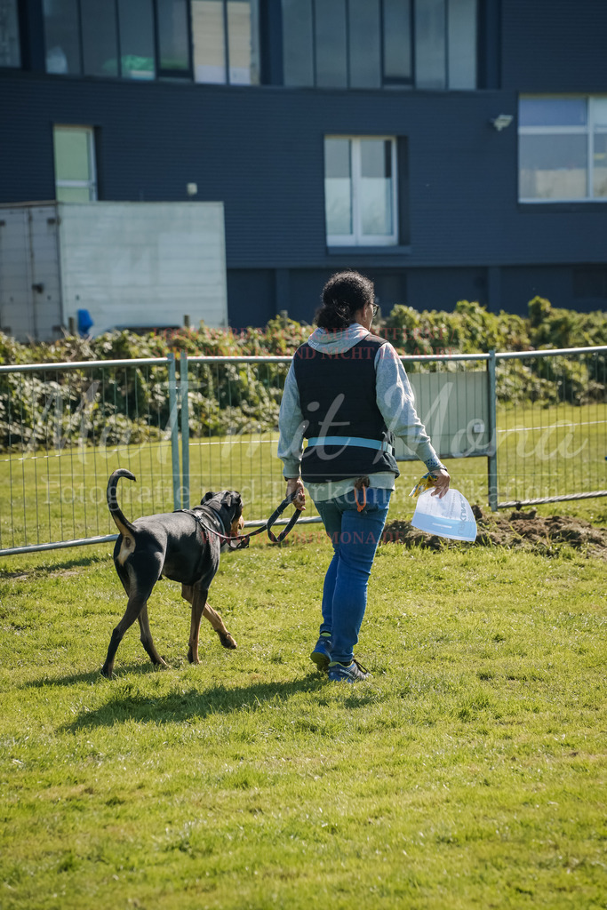 20250928_Hunderennen-761 | MuT (Mensch und Tier) mit Mona - Fotografie und Tierkommunikation - Realisiert mit Pictrs.com
