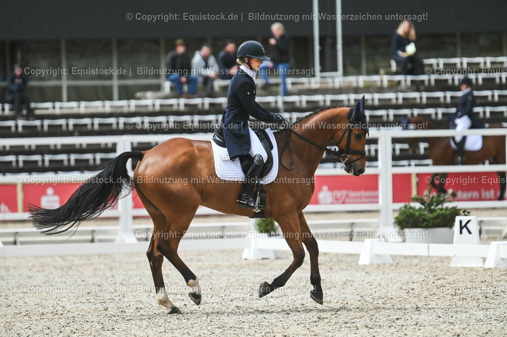 20230512_CCI4_Dressur_0255 | equistock