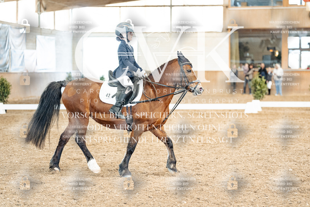 CK900498 | Turnierfotografie Pferdefotografie Trier Rheinland-Pfalz Pferdesport Reitsport Tierfotografie Sportfotografie Pferdevideo Pferdevideografie Equestrianvideography equestrianphotography  - Realisiert mit Pictrs.com