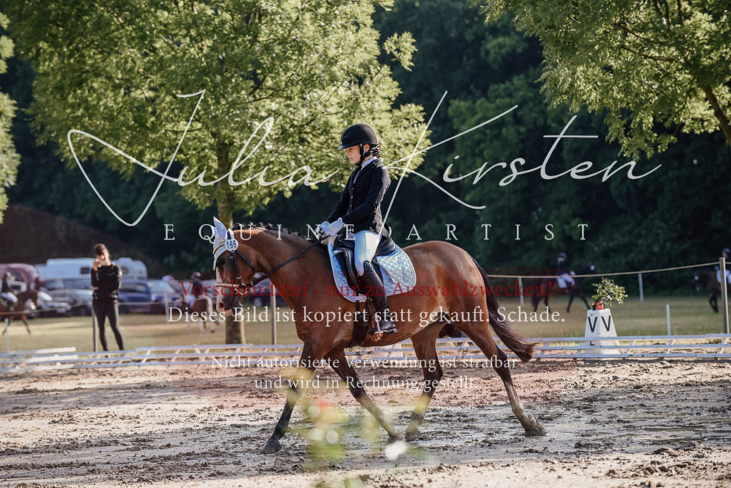 DSC_7819 | Pferde- und Turnierfotografie in Westsachsen. Pferdeportraits, Auftragszeichnungen und intuitive Kunst.