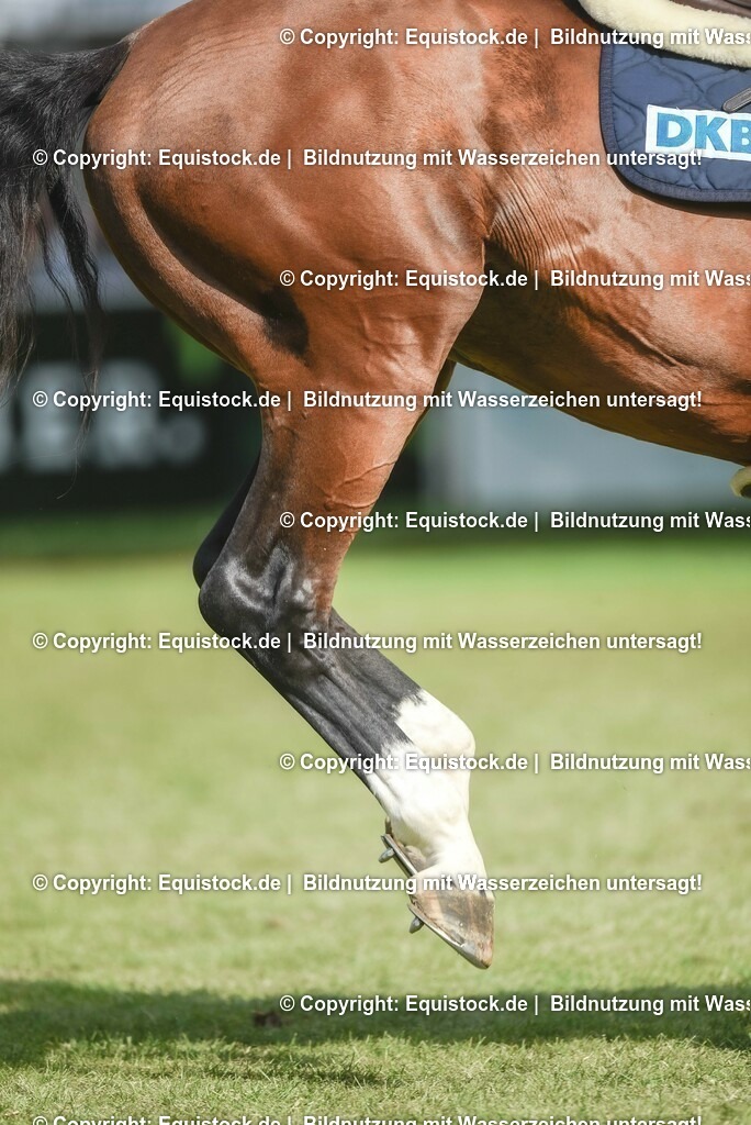 20230529_20_CSI4_Großer-Preis_0554 | equistock