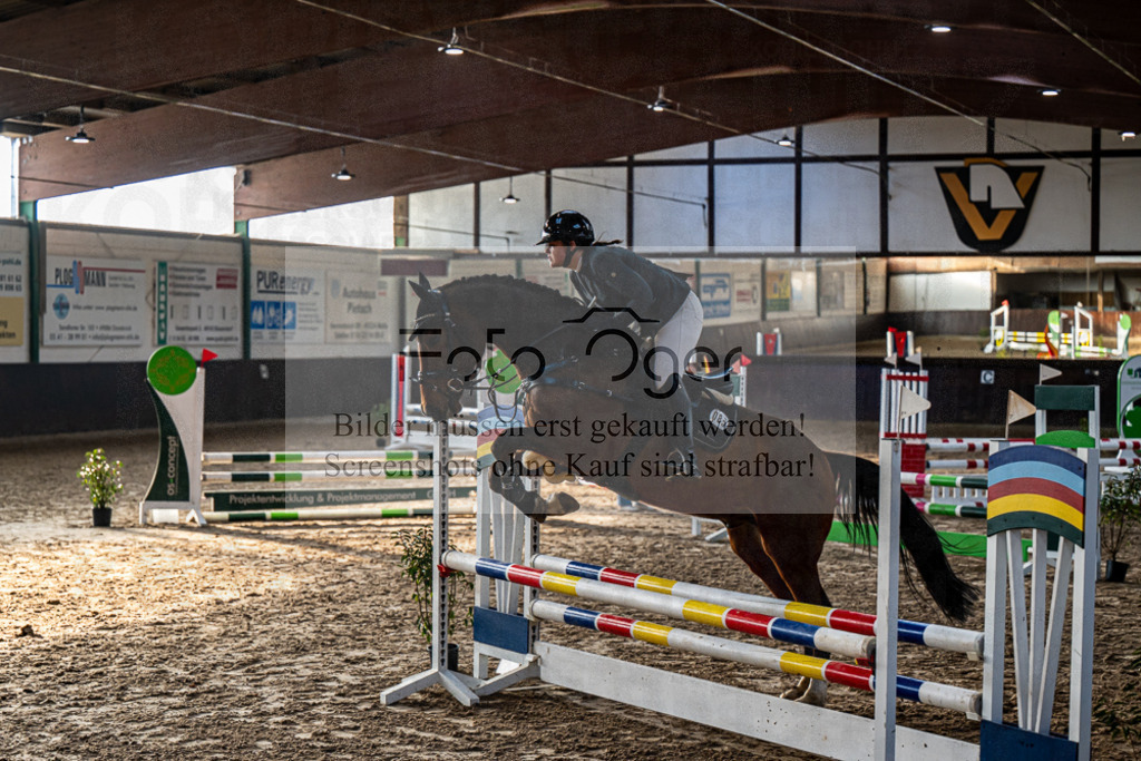 20240309-DOS_5564 | Entdecke hochwertige Reitturnierfotos von Foto Oger. Professionell, emotional und authentisch – jetzt Lieblingsmomente im Shop bestellen. - Realisiert mit Pictrs.com