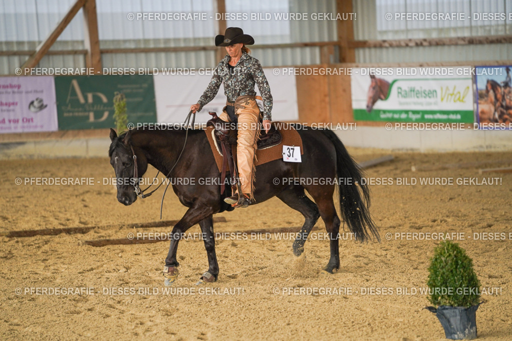 DSC01977 | Pferdegrafie