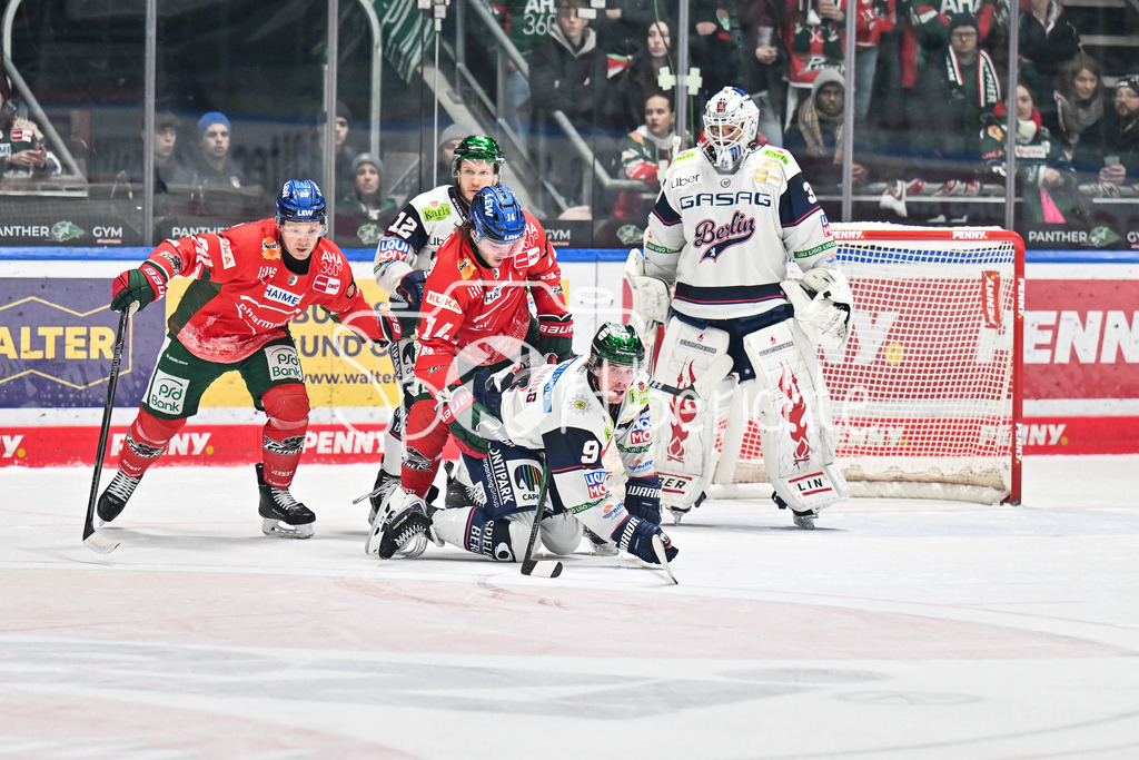Augsburger Panther - Eisbären Berlin | AUGSBURG, GERMANY - 27. JANUARY: im Duell D. J. BUSDEKER (Augsburger Panther 14) und Ty RONNING (Eisbären Berlin 9) während dem Match zwischen den Augsburger Panthern und den Fischtown Pinguins am 43. Spieltag der Penny DEL im Curt Frenzel Stadion
